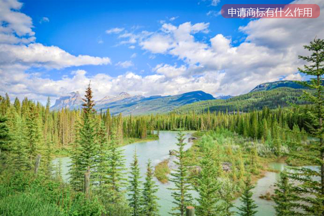申請(qǐng)了商標(biāo)有什么作用