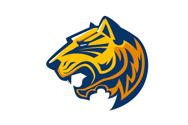 商標(biāo)查詢怎么收費(fèi)，商標(biāo)查詢價(jià)格貴嗎?